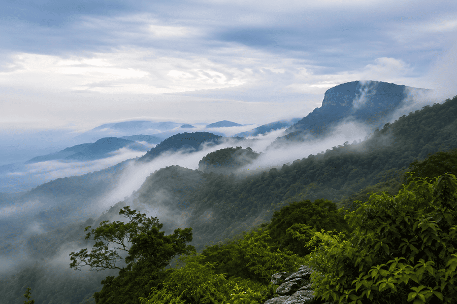 Bokor National Park  — Misty Mountain Views
