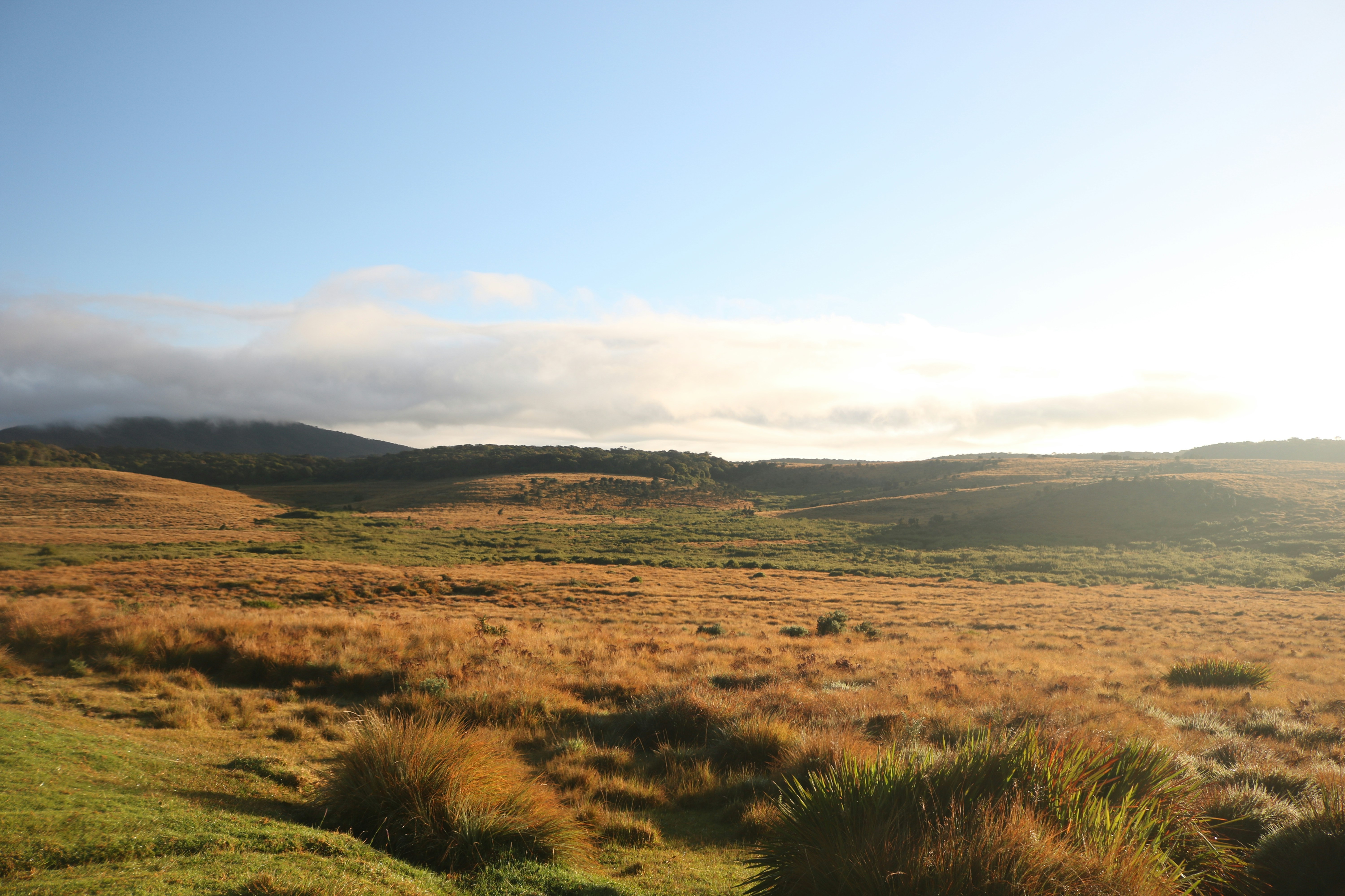 Horton Plains — World's End