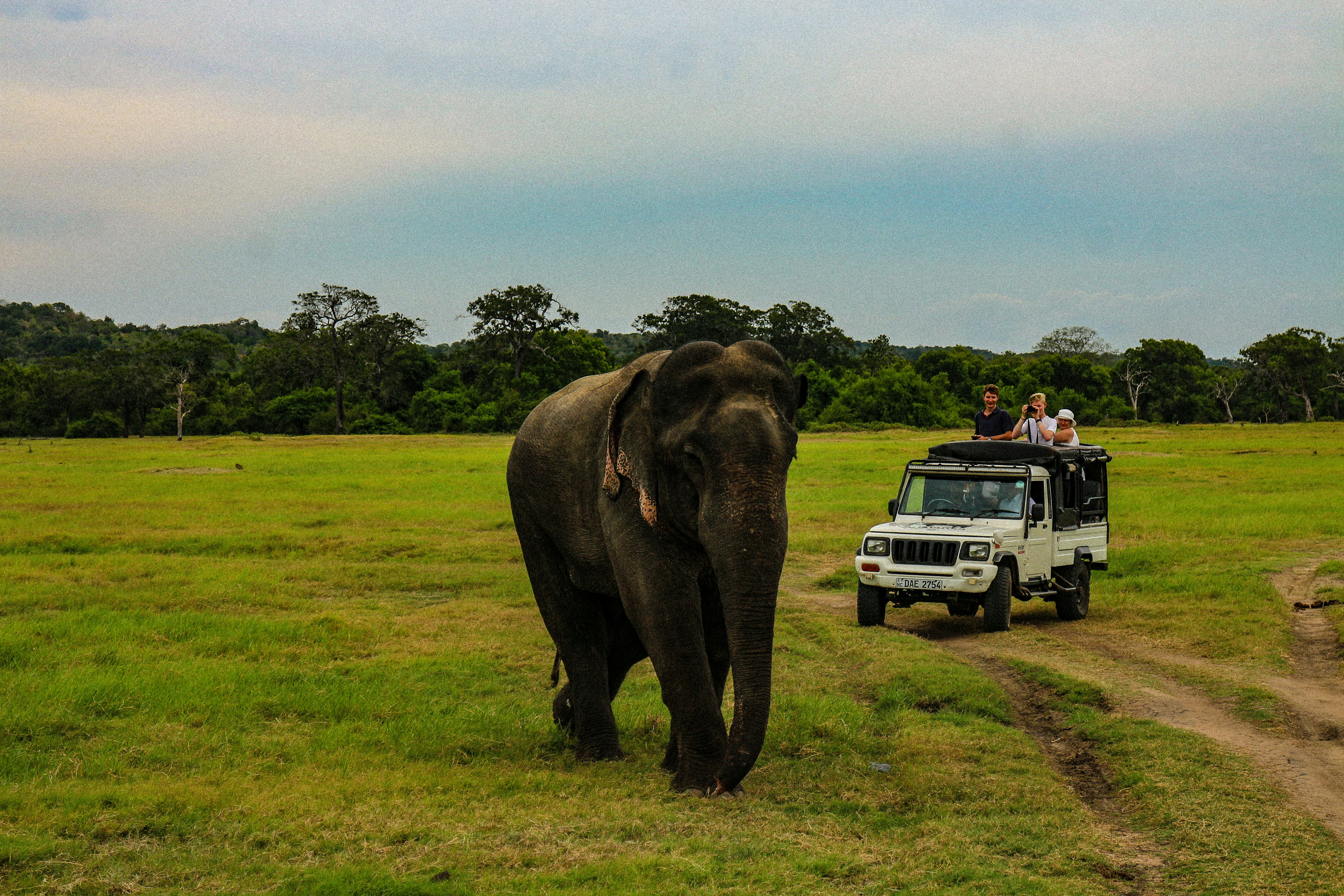 Yala National ParkYala — Leopard Country
