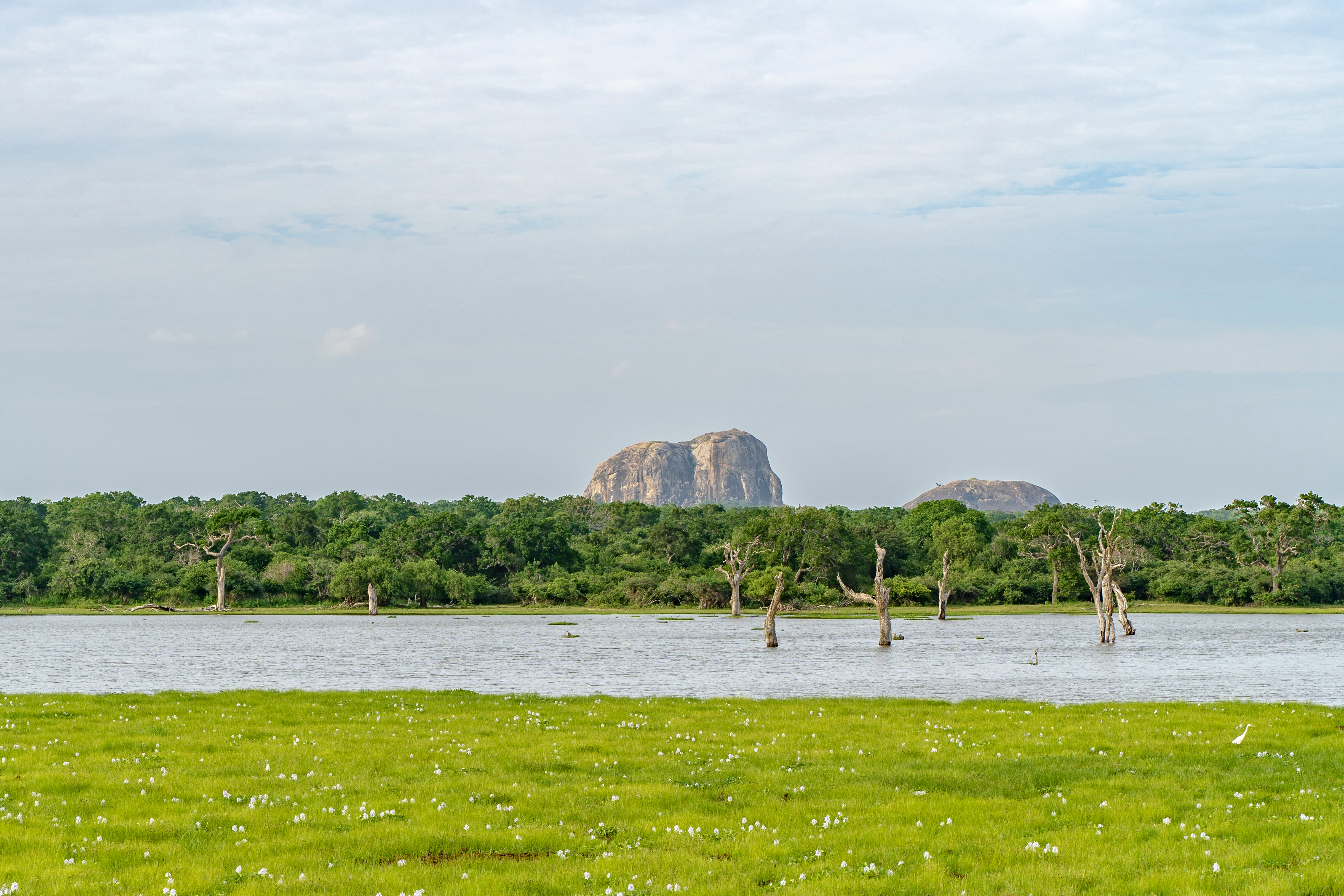 Bundala — Bird Sanctuary