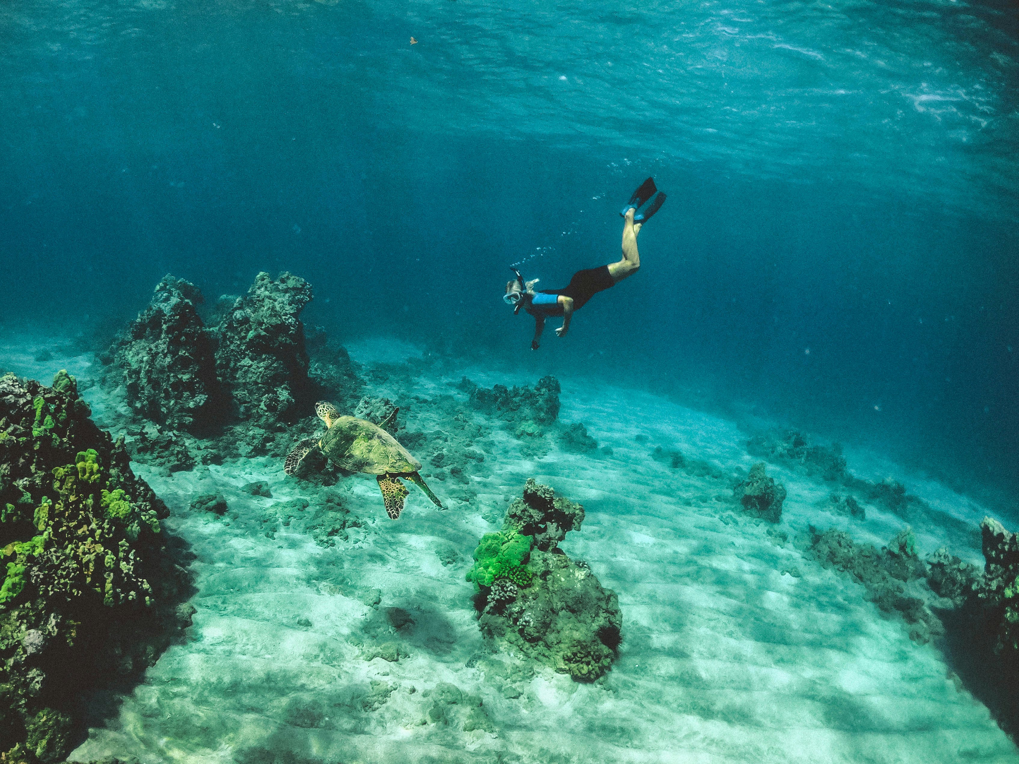 Pigeon Island — Snorkelling