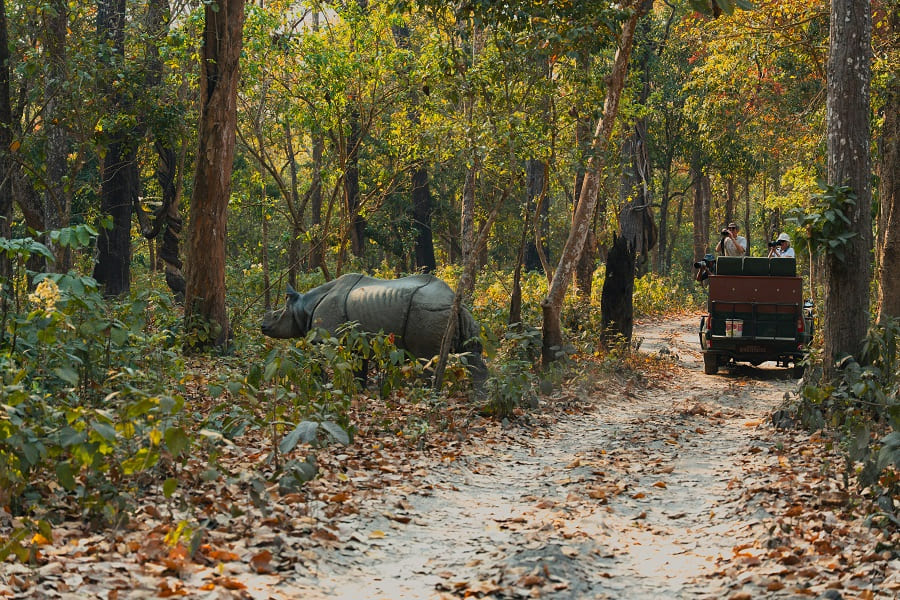 Chitwan Jeep Safari