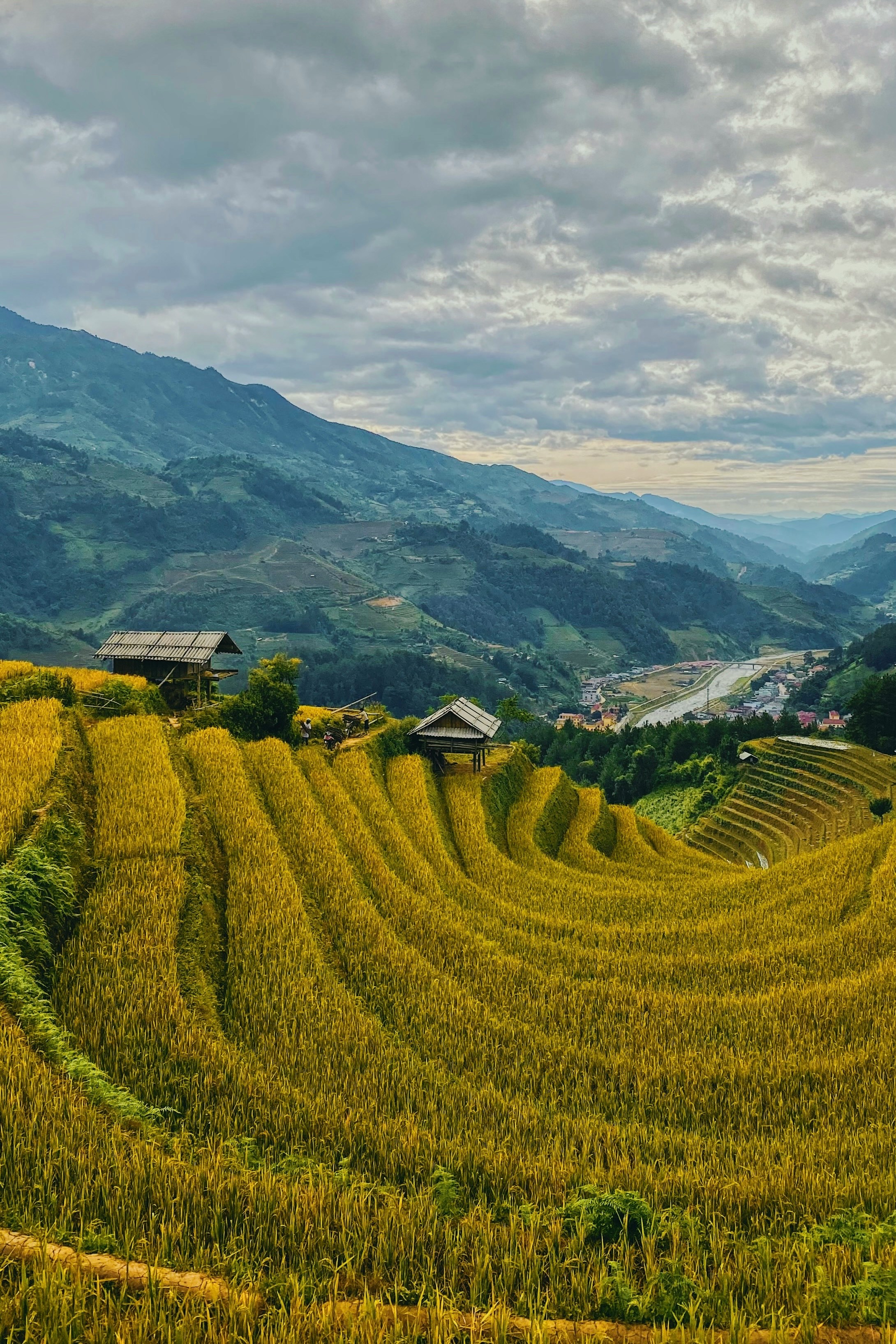 Vietnam