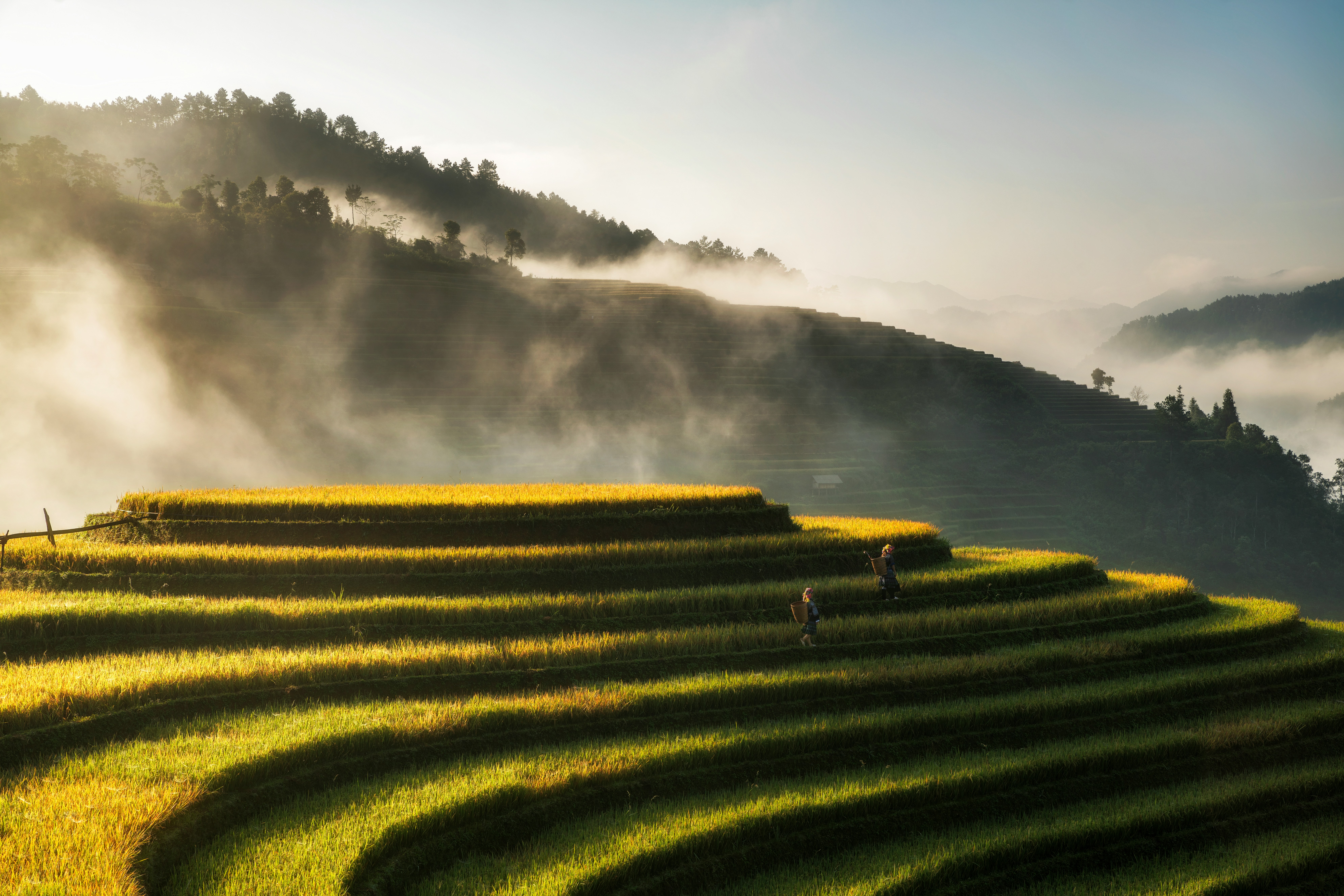  09 Days Vietnam Tour