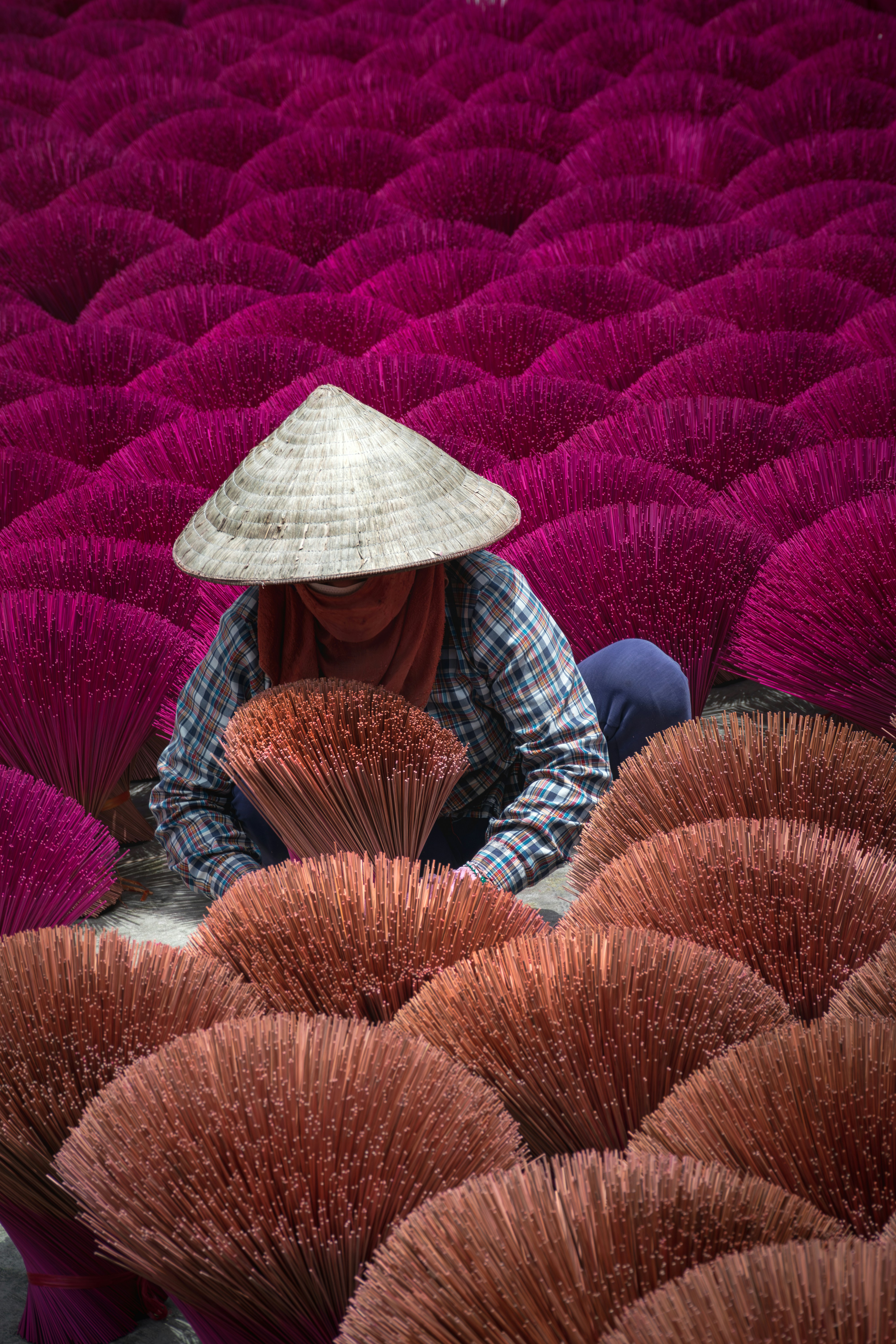 10 Days Vietnam Tour
