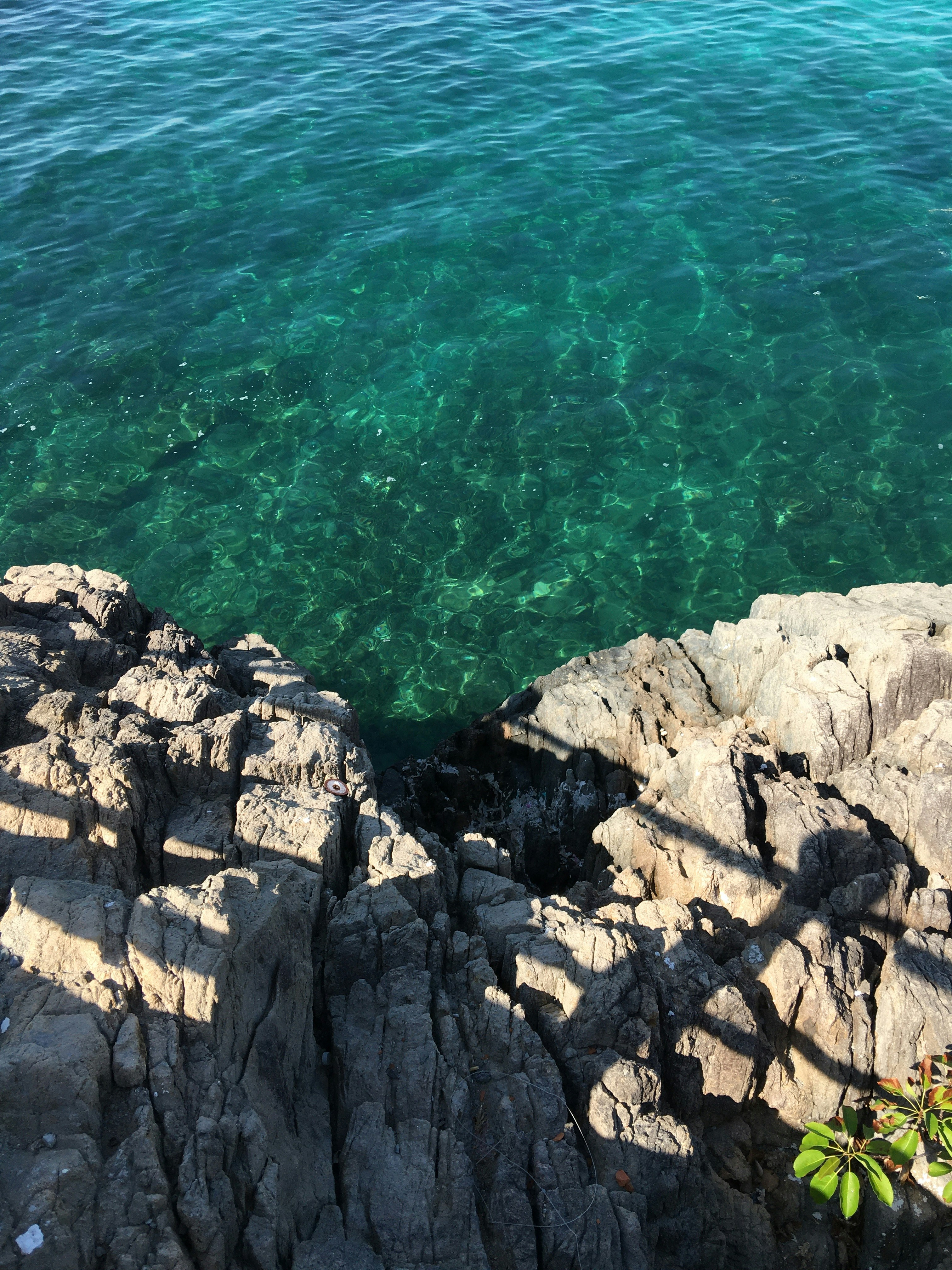 4 Days of Nha Trang, Veitnam Tour