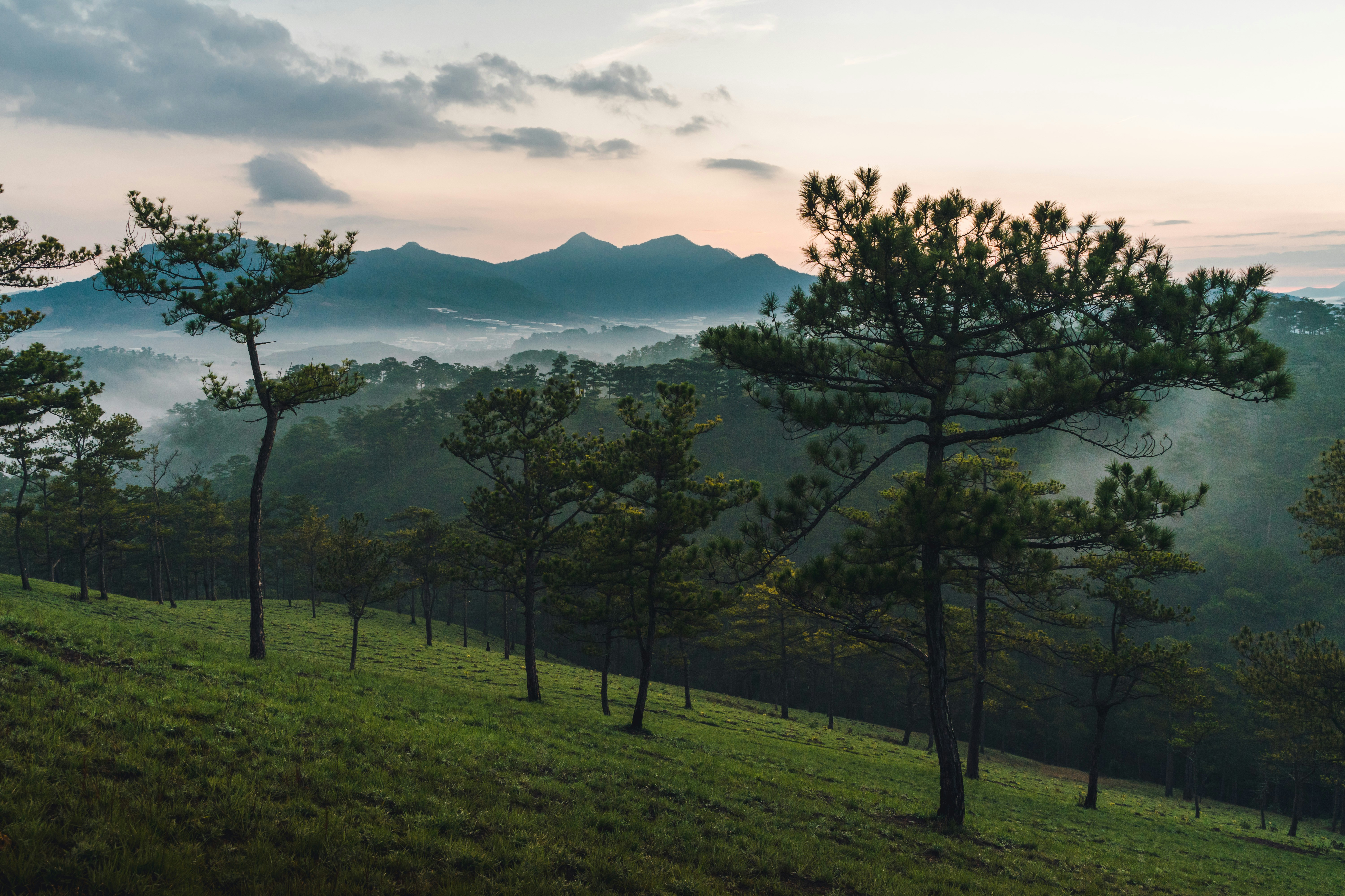 6 Days of Da Lat and Nha Trang Tour, Veitnam Tour