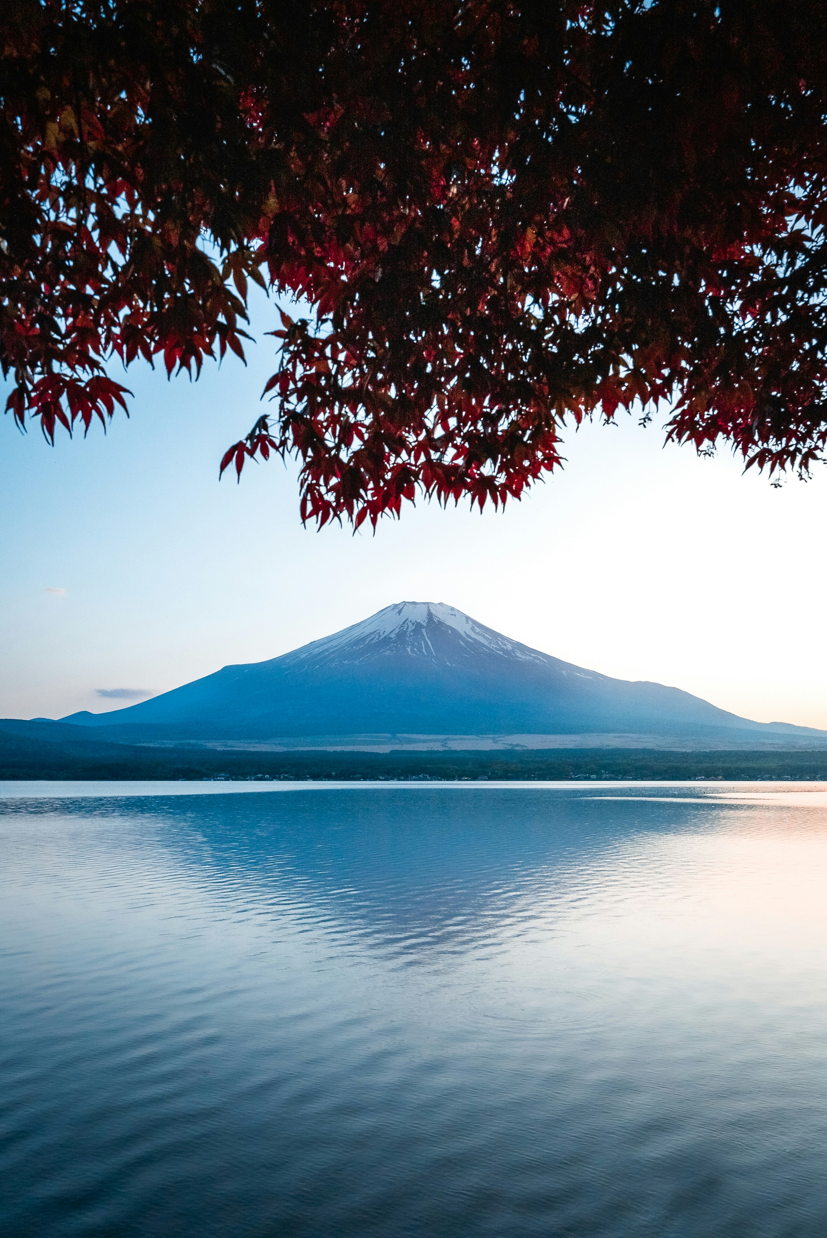Scenic 12 Days Premium Tour of Japan with Hiroshima & Miyajima