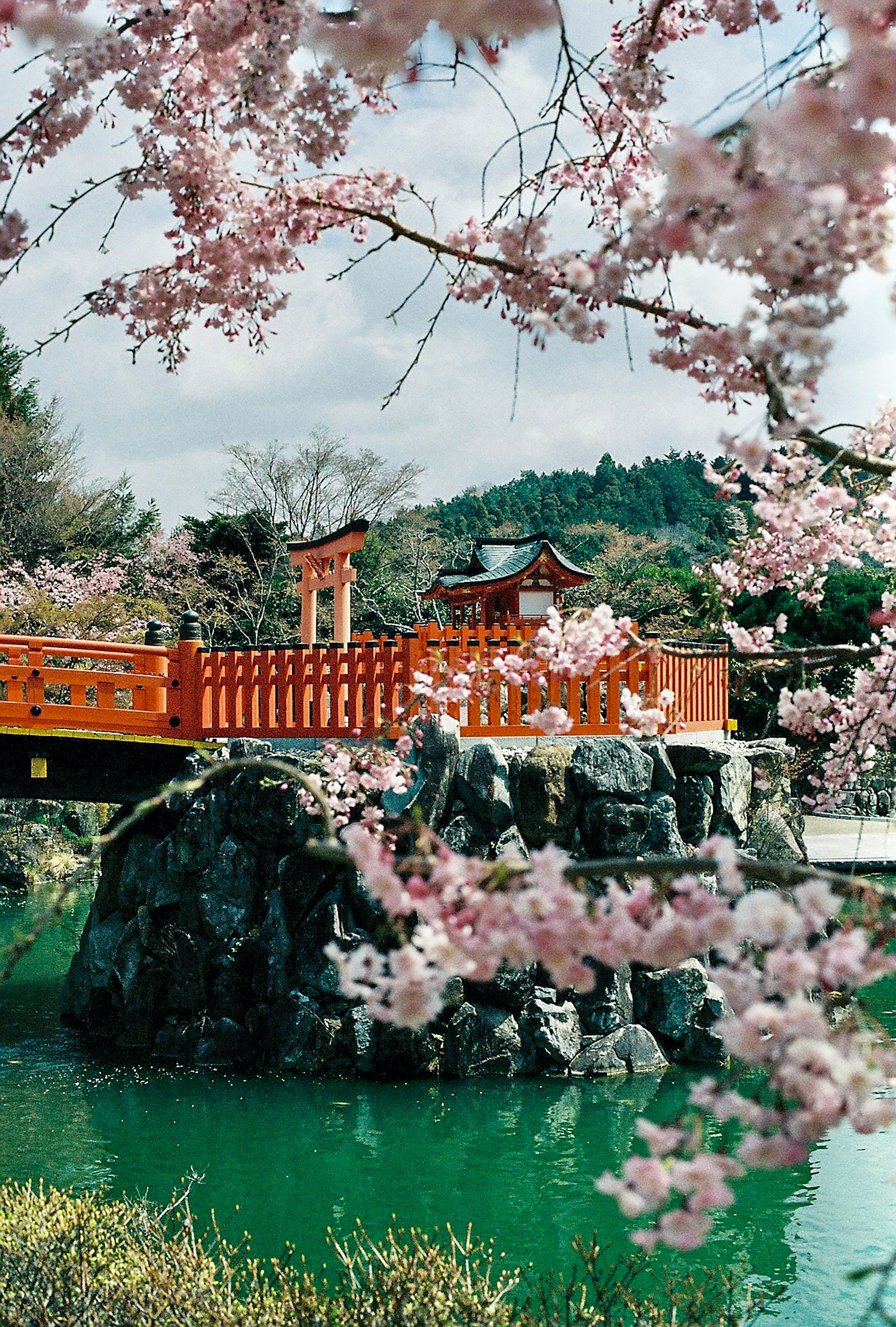 14 Days Deluxe Tour of Japan