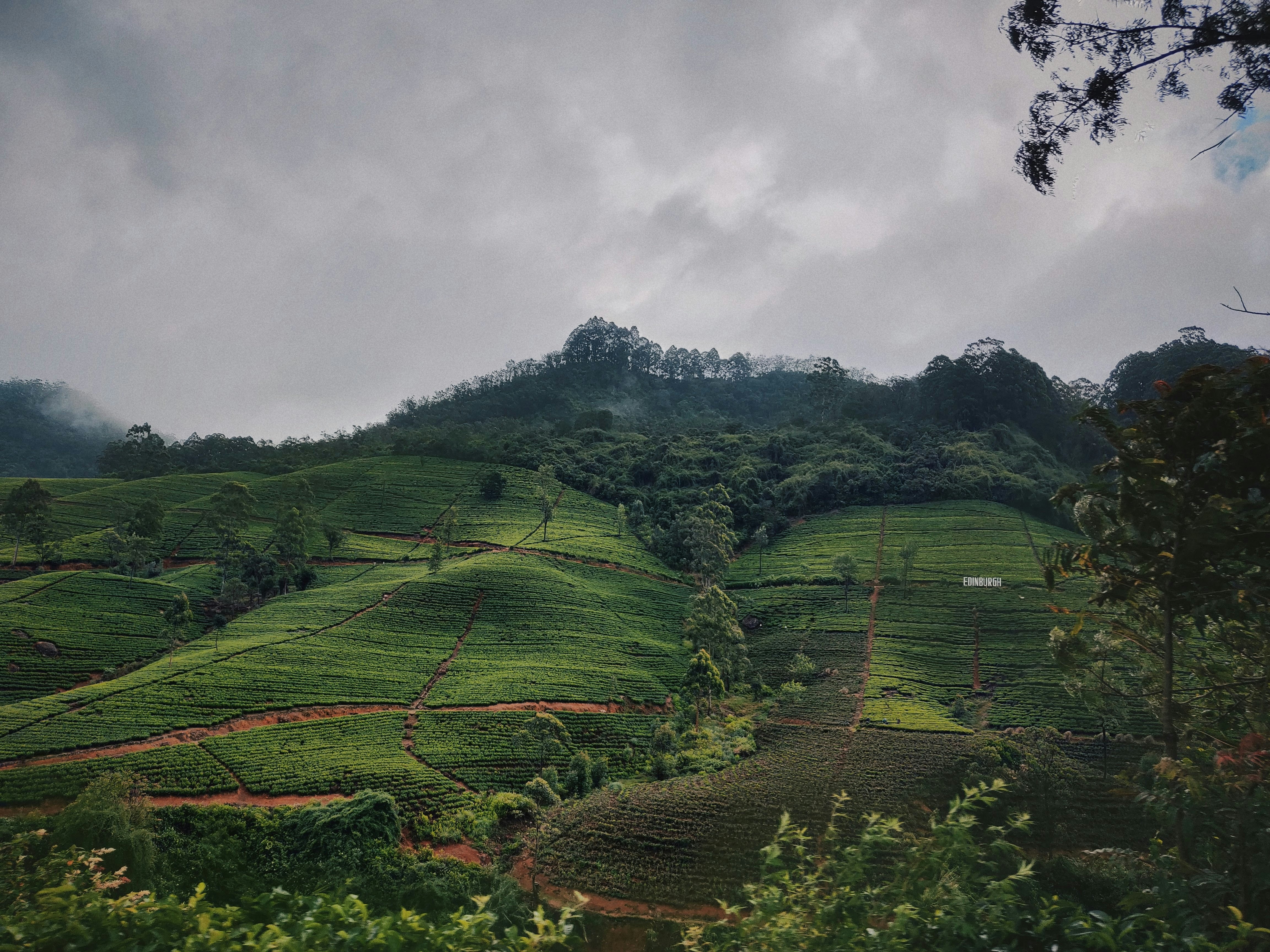 11 Days Premium Tour of Sri Lanka