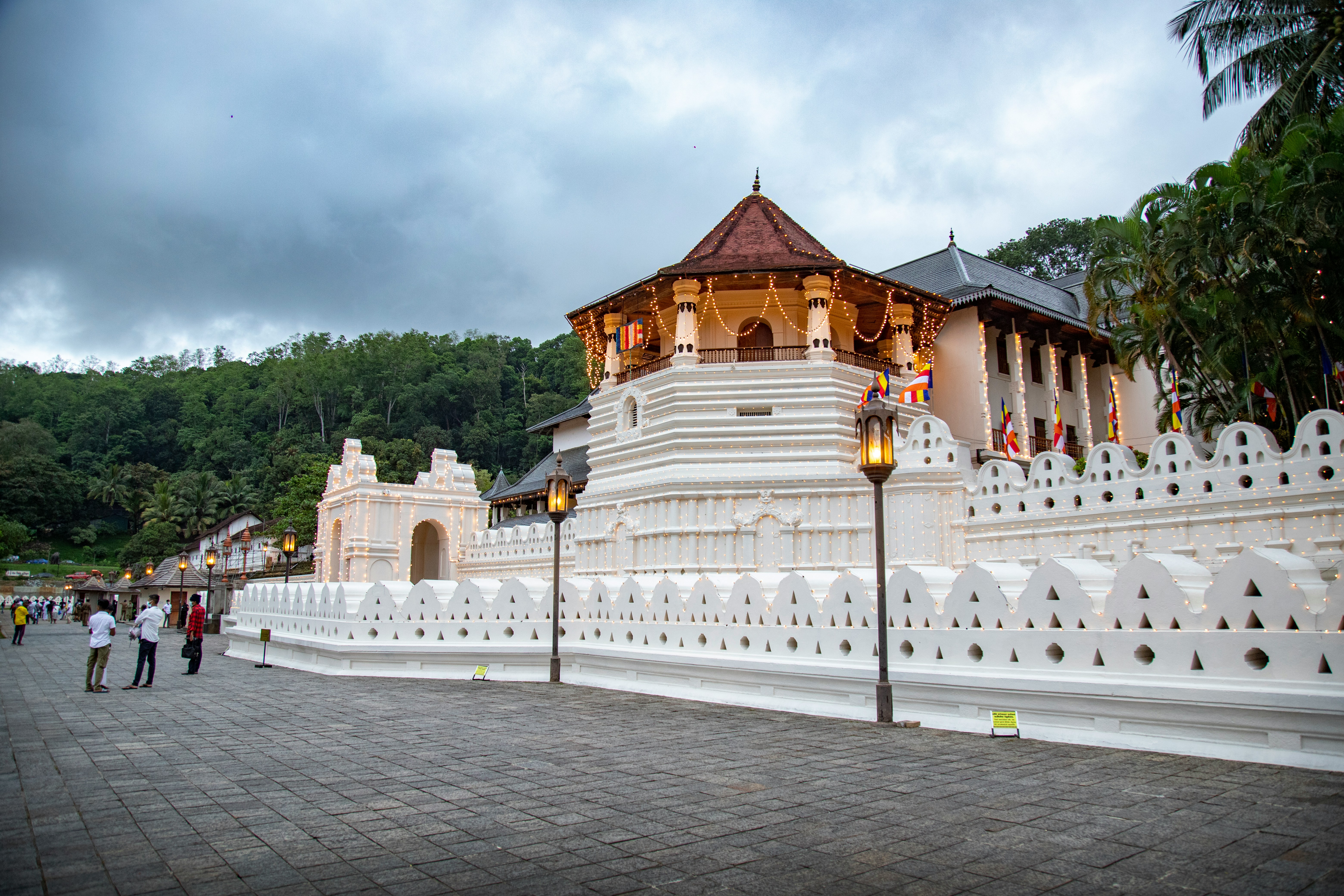 Scenic 11 Days Premium Tour of Sri Lanka