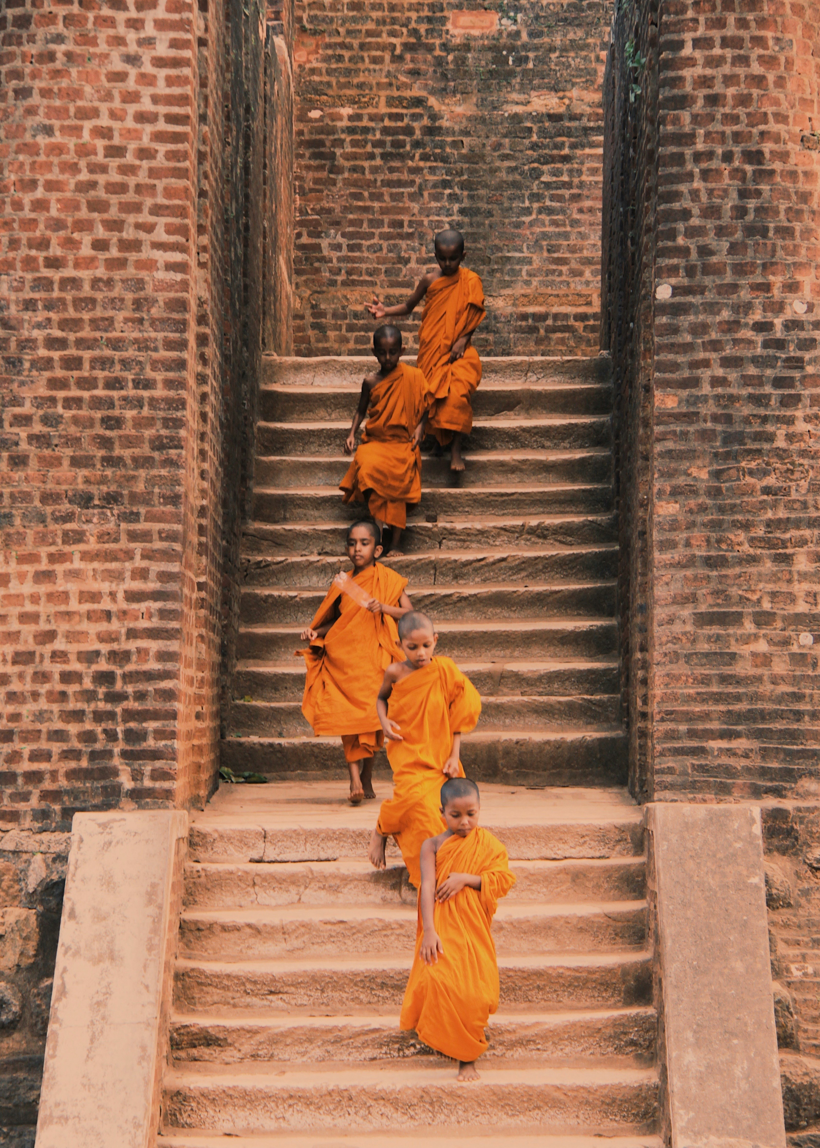 13 Days Premium Tour of Sri Lanka