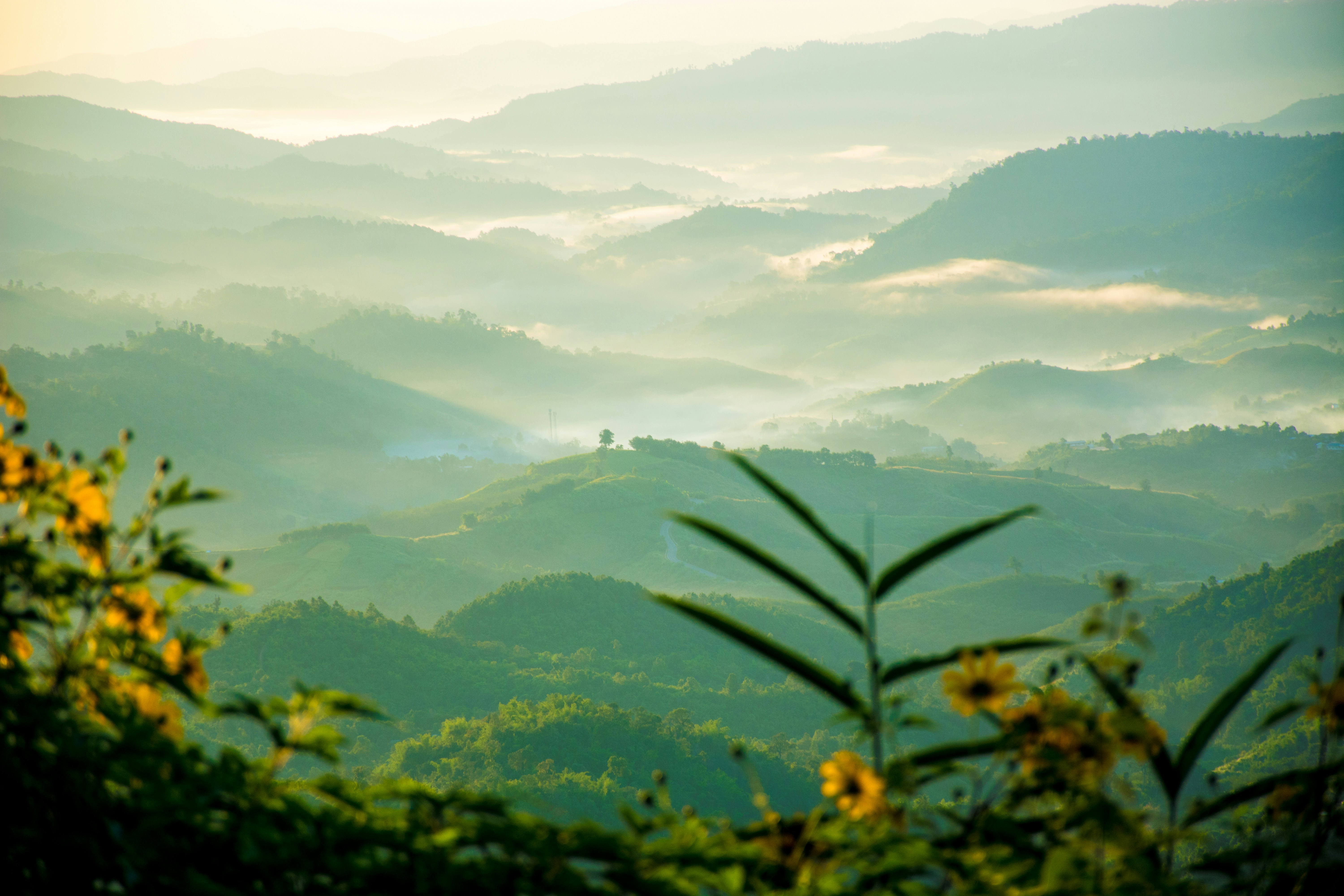 Scenic 11 Days / 10 Nights Thailand Family Adventure