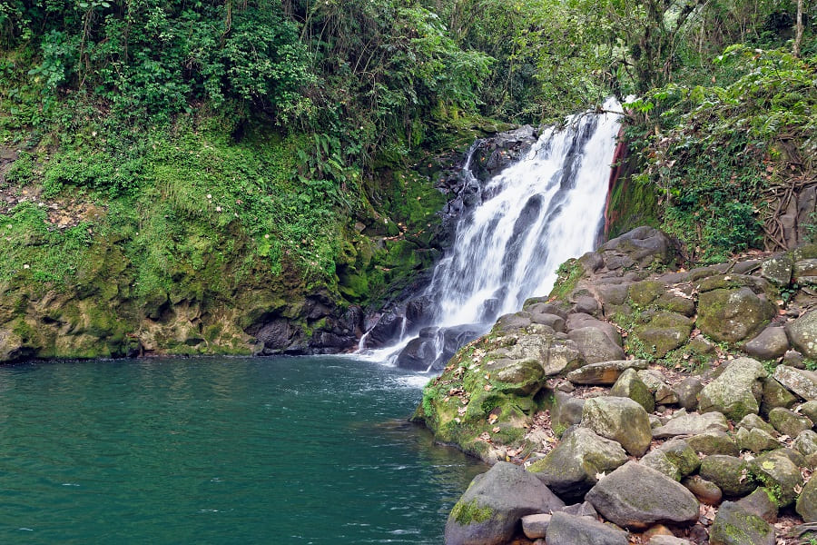 Scenic 15 Days Malaysia Tour