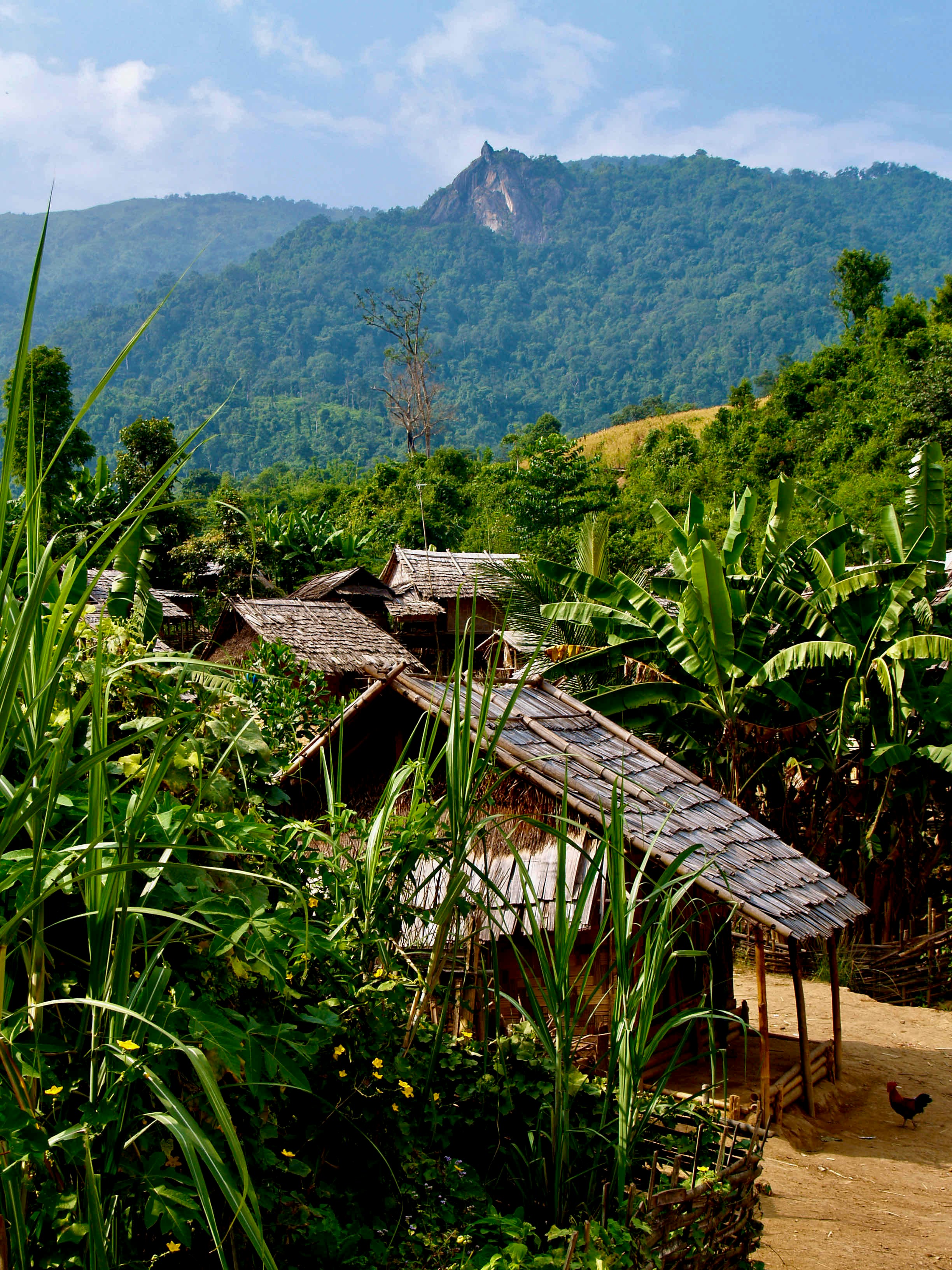11 Days / 10 Nights — North to South Laos Adventure
