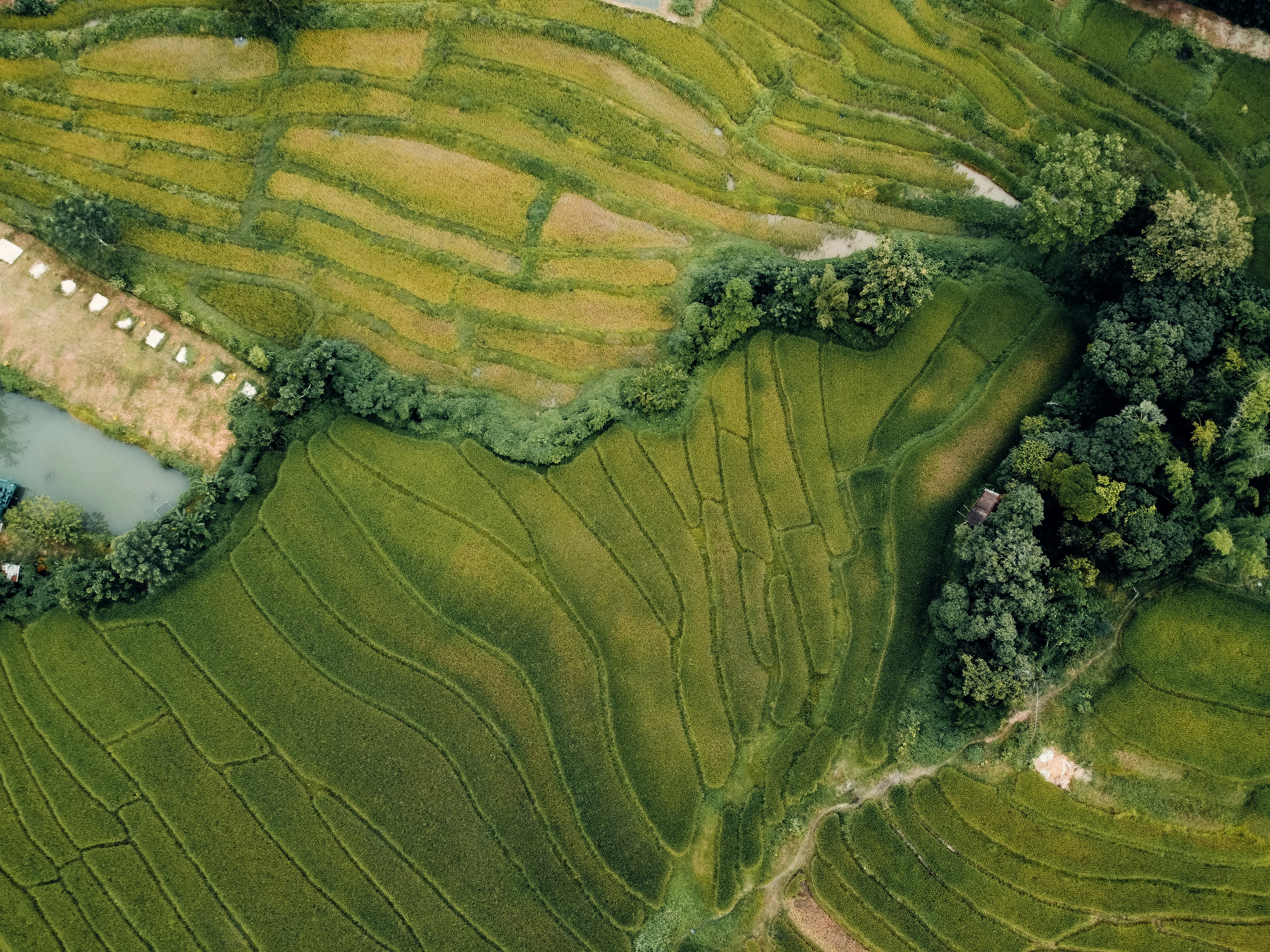 Scenic 11 Days / 10 Nights — North to South Laos Adventure