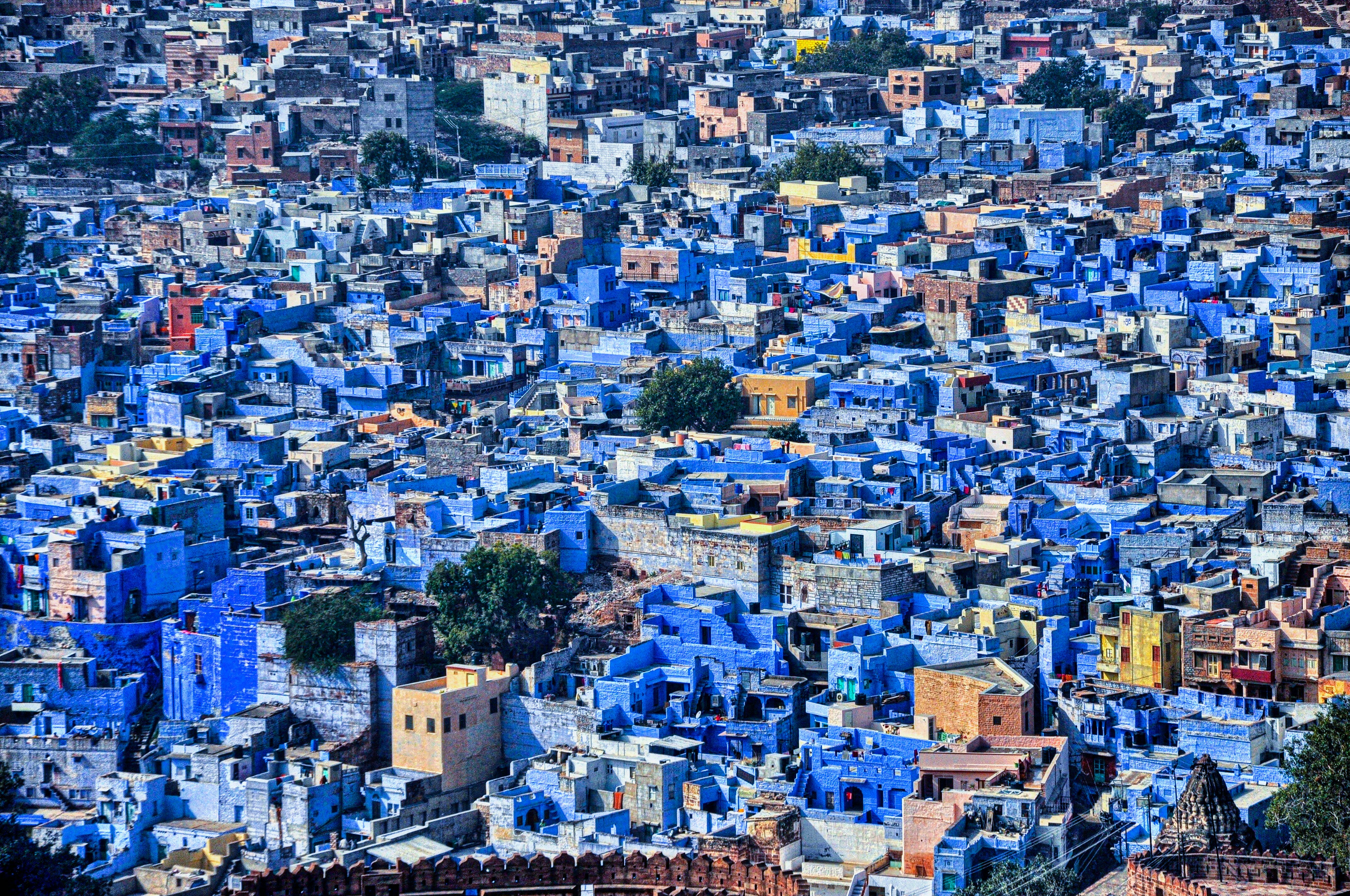 4 Nights 5 Days Rajasthan Odyssey: Pink City to Blue City