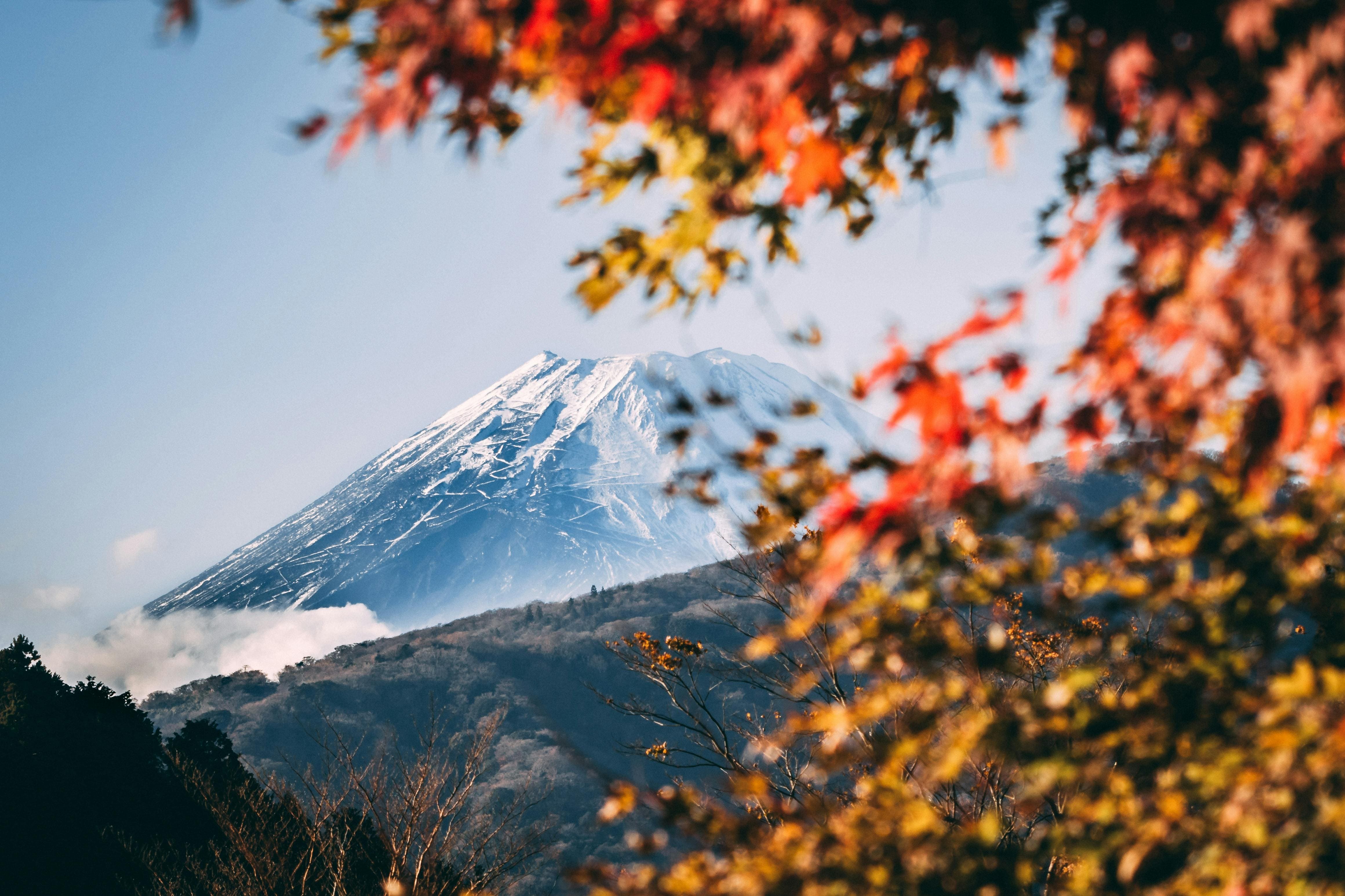 Japan