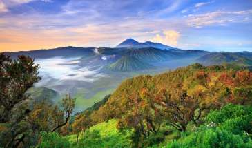 Java Mt Bromo